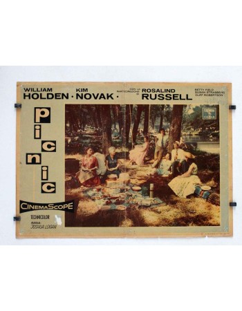 PICNIC