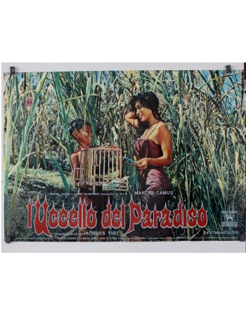 L'OISEAU DE PARADIS