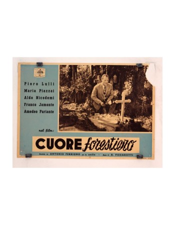 CUORE FORESTIERO