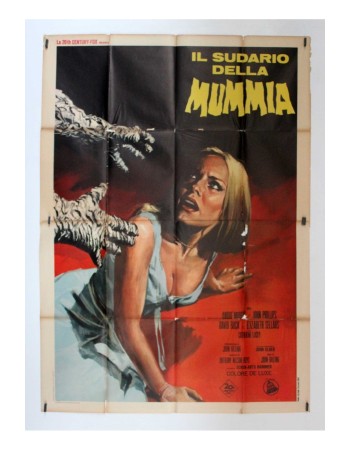 The Mummy's Shroud