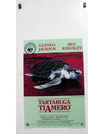 Turtle Diary