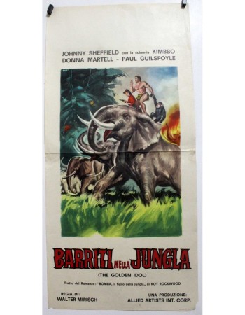 Elephant Stampede