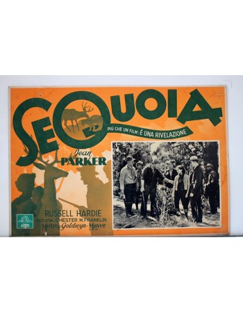 SEQUOIA