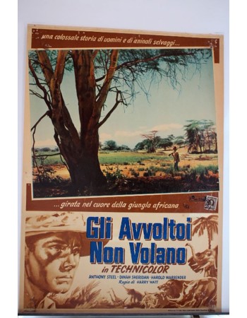 WHERE NO VULTURES FLY