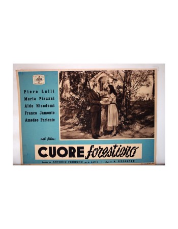 CUORE FORESTIERO