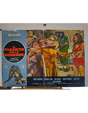 Planet of the Apes