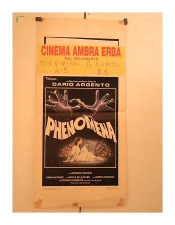 PHENOMENA