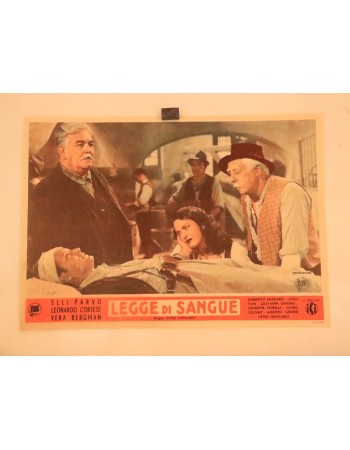 LEGGE DI SANGUE