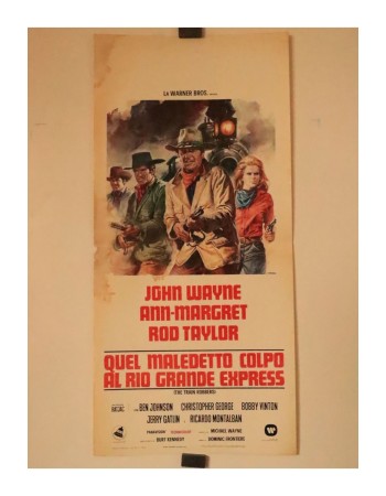 THE TRAIN ROBBERS