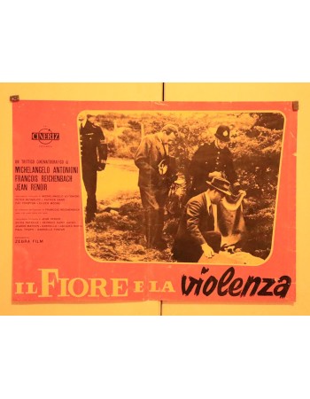 Il fiore e la violenza