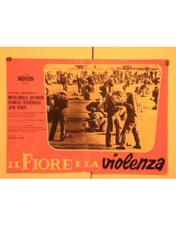 Il fiore e la violenza