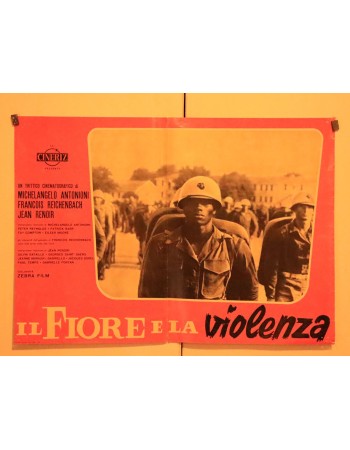 Il fiore e la violenza