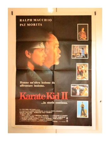 KARATE KIDD II