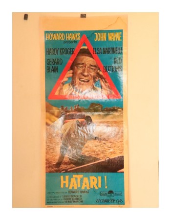 HATARI