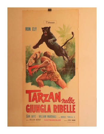 TARZAN'S JUNGLE REBELLION