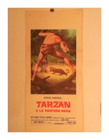 Tarzán y el arco iris