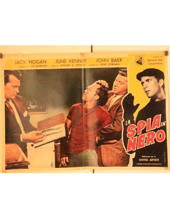 THE CAT BURGLAR