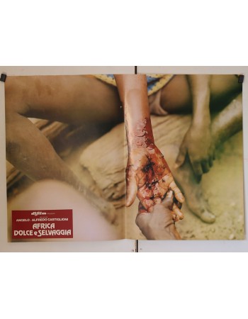 Africa dolce e selvaggia