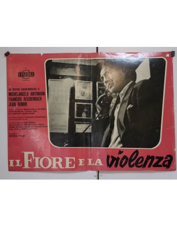 IL FIORE ELA VIOLENZA