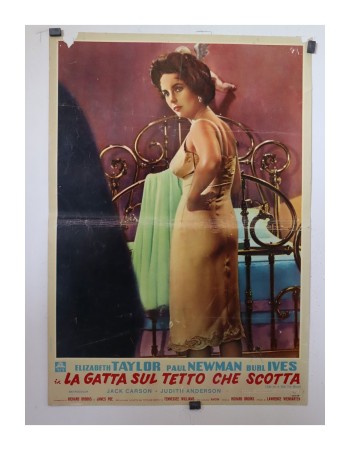 Cat on a Hot Tin Roof