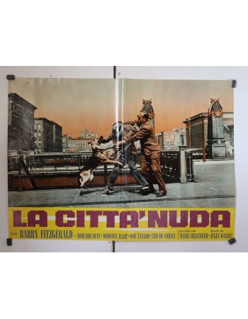 THE NAKED CITY