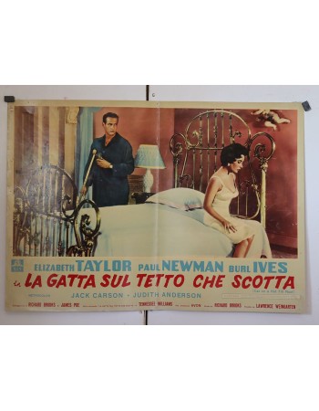 Cat on a Hot Tin Roof