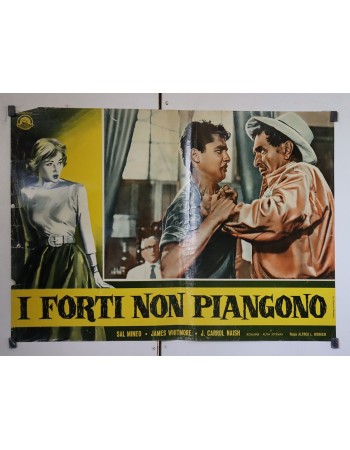 THE YOUNG DON'T CRY
