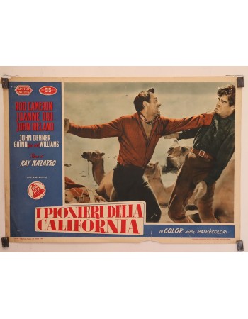 TRAVESIA DEL DESIERTO