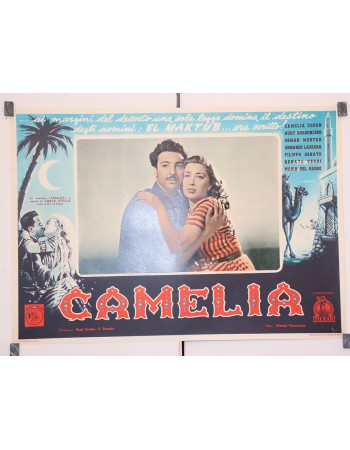 CAMELIA