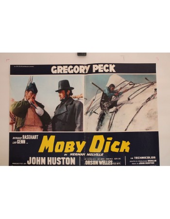 MOBY DICK