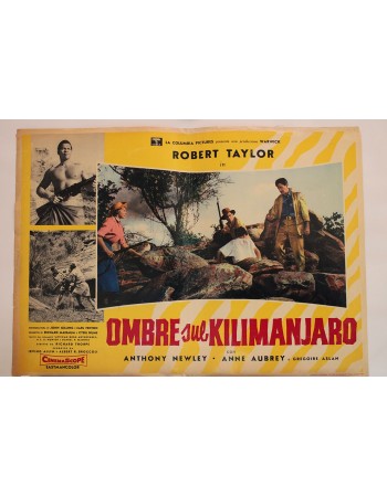 KILLERS OF KILIMANJARO