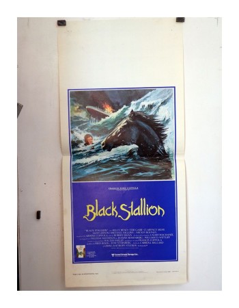 THE BLACK STALLION