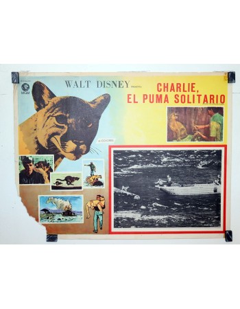 CHARLIE, THE LONESOME COUGAR
