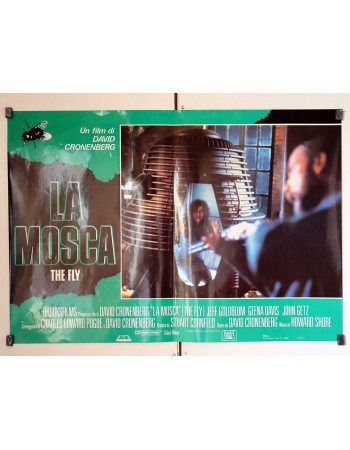 THE FLY