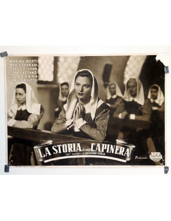 LA STORIA DI UNA CAPINERA