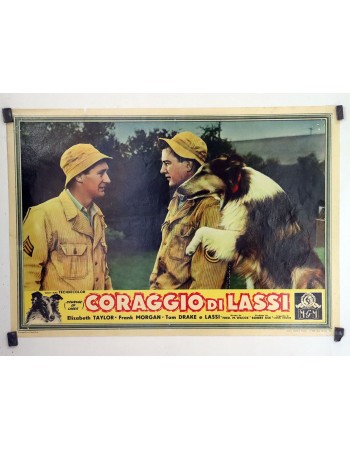Courage of Lassie