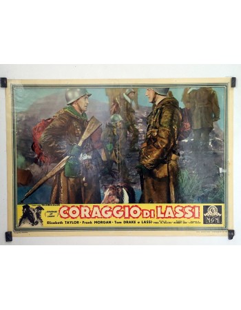 Courage of Lassie