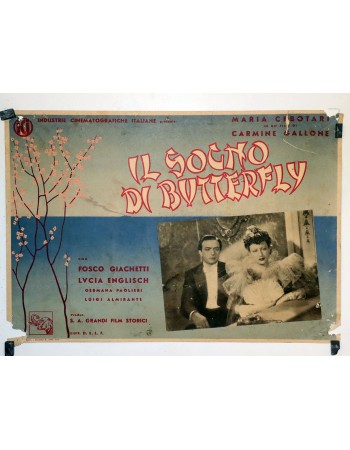 Il sogno di Butterfly