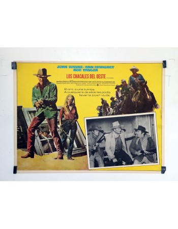 THE TRAIN ROBBERS