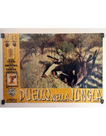 DUEL IN THE JUNGLE