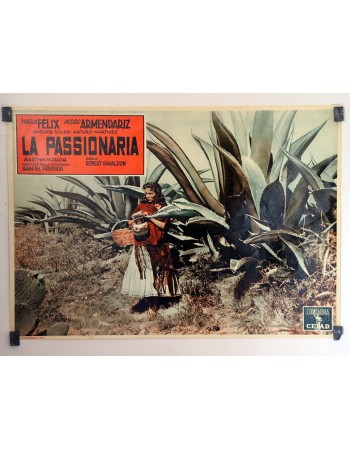PASSIONARIA, LA