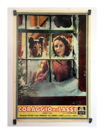Courage of Lassie