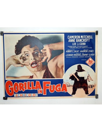 GORILLA AT LARGE
