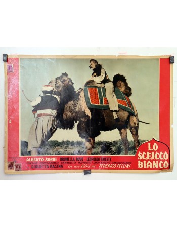 LO SCEICCO BIANCO