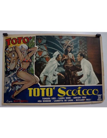 TOTO SCEICCO