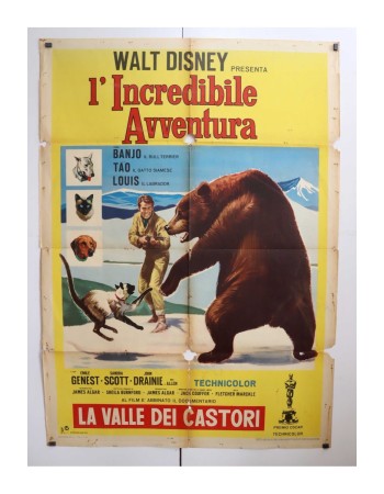The Incredible Journey