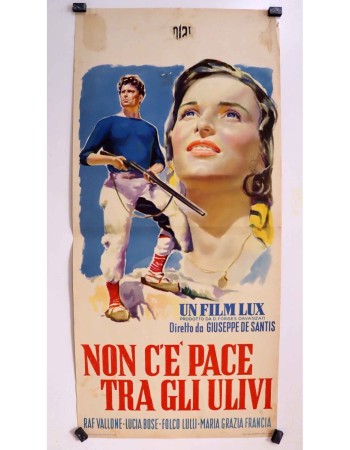 NON C'È PACE TRA GLI ULIVI
