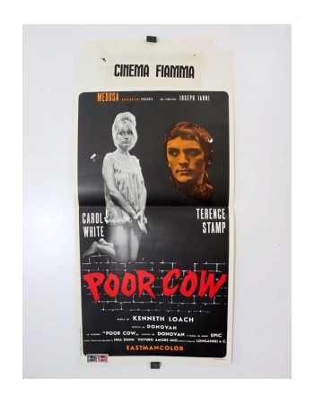 POOR COW
