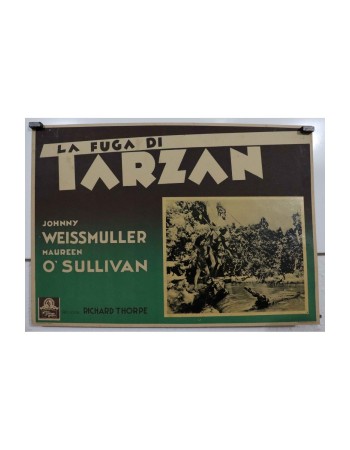 TARZAN ESCAPES