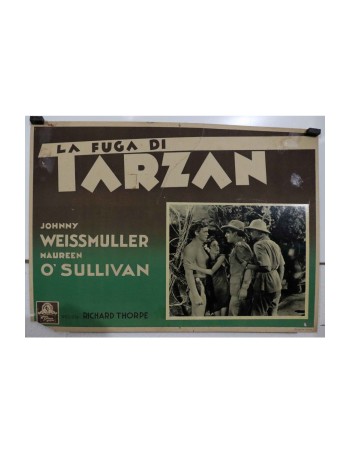 TARZAN ESCAPES